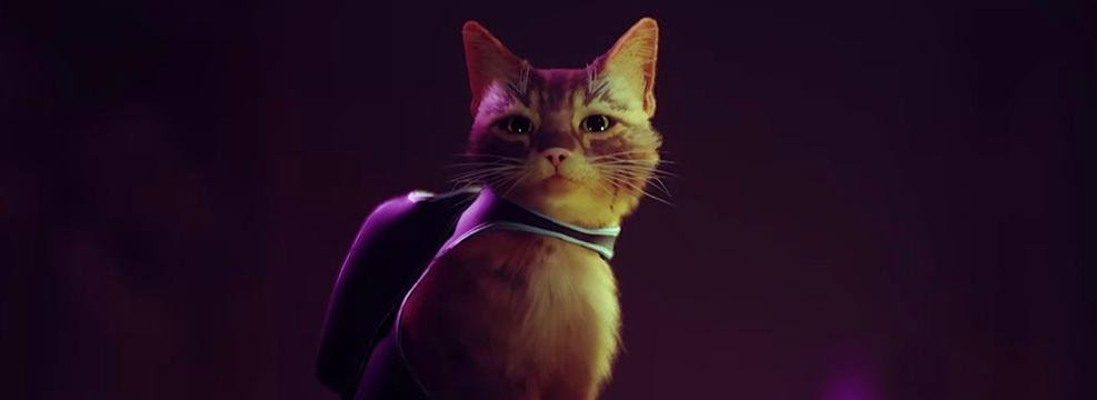 [Слухи] Игра про котика из будущего Stray выйдет 19 июля