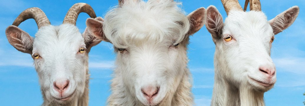 Goat Simulator 3 выходит в ноябре этого года
